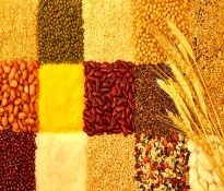 f|ِϣZИI(y) 2025-2027 (jng)(zhng)֣CR5  + ȫa(chn)I(y)朲I(y)ƾ·ɶԃ˾